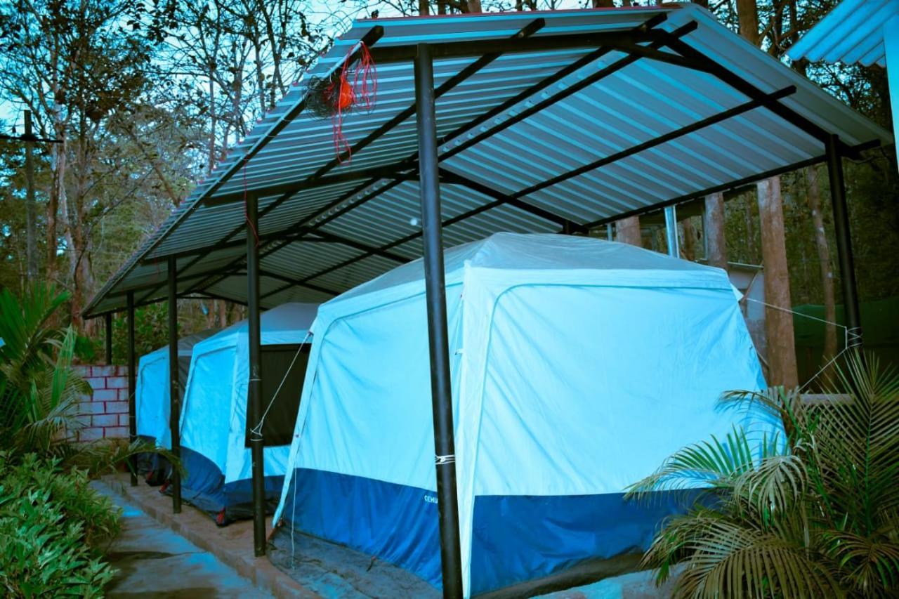 Sunbird Jungle Stay Dandeli Extérieur photo