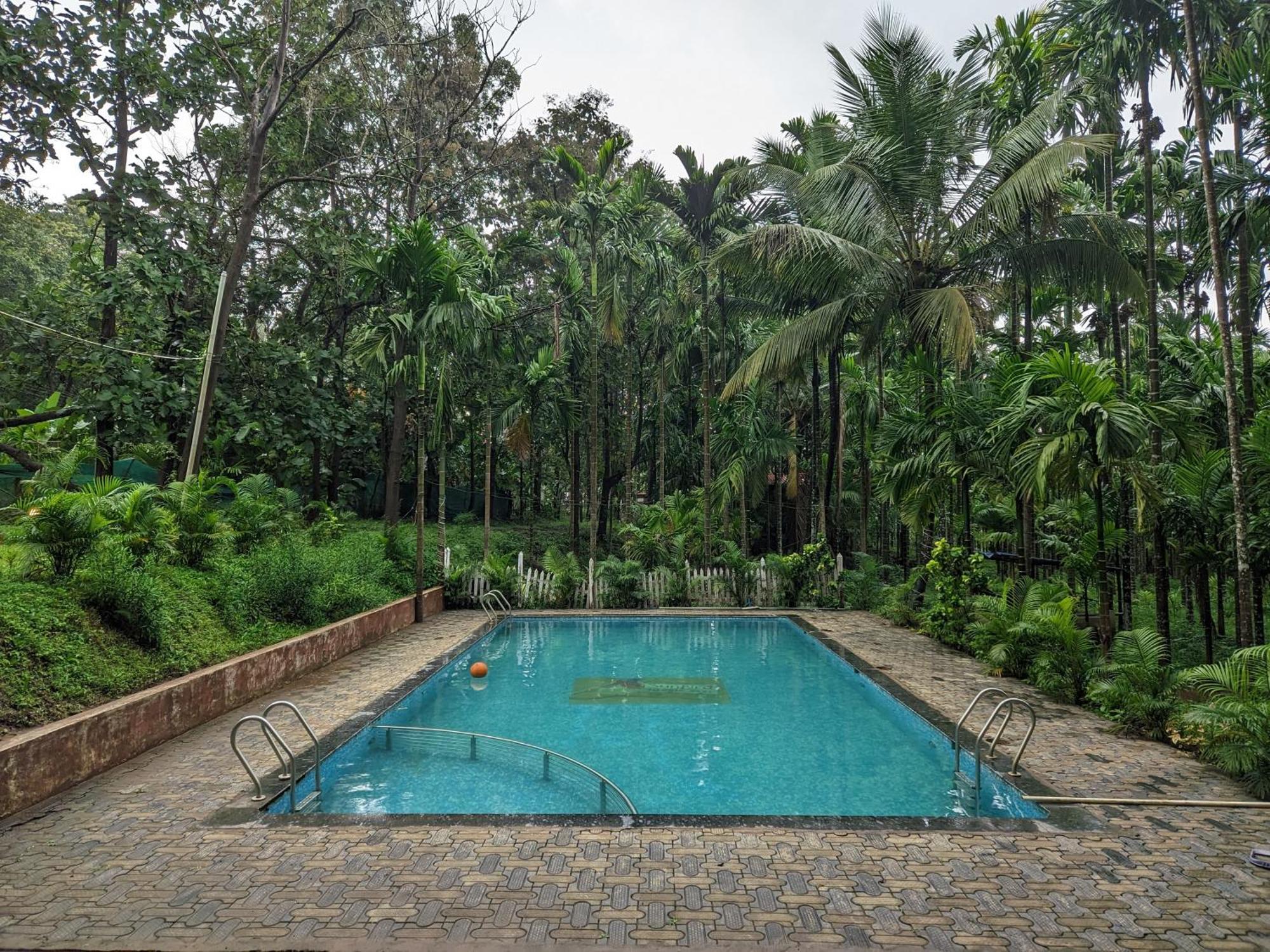 Sunbird Jungle Stay Dandeli Extérieur photo